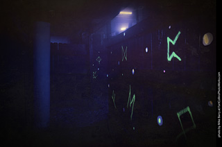 Creepy Walk in the Woods 2025