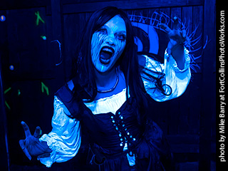 Creepy Walk in the Woods #4