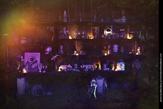 Creepy Walk in the Woods 2025