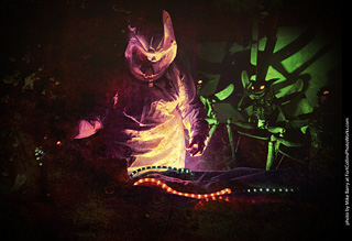 Creepy Walk in the Woods 2025