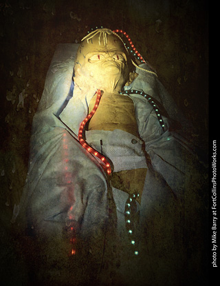 Creepy Walk in the Woods 2025