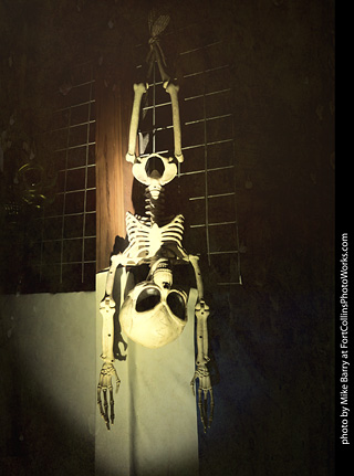 Creepy Walk in the Woods 2025