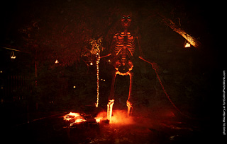 Creepy Walk in the Woods 2025