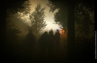 Creepy Walk in the Woods 2025