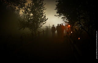 Creepy Walk in the Woods 2025