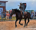 Holly Austin jousting at the Larimer County Fair