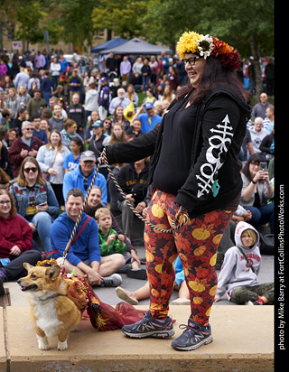 Tour de Corgi - Costume Contest - Fall