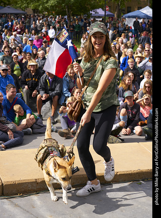 Tour de Corgi - Costume Contest