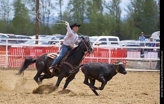 Never Summer Rodeo - Open Team Roping