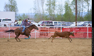 Never Summer Rodeo - Open Team Roping