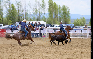 Never Summer Rodeo - Open Team Roping