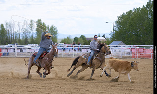 Never Summer Rodeo - Open Team Roping