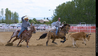 Never Summer Rodeo - Open Team Roping