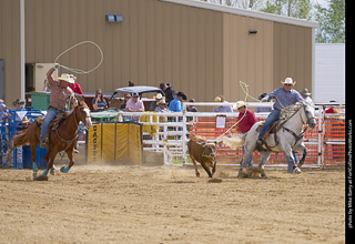 Never Summer Rodeo - Open Team Roping