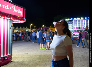 Kinsey at the Larimer County Fair