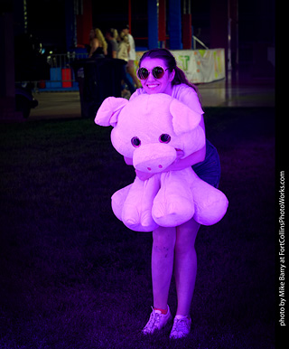 Kinsey at the Larimer County Fair