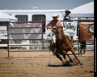 Regulators at the Larimer County Fair 2024