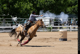 Regulators at the Larimer County Fair 2024