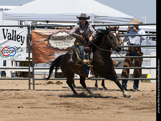 Regulators at the Larimer County Fair 2024