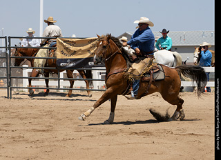 Regulators at the Larimer County Fair 2024
