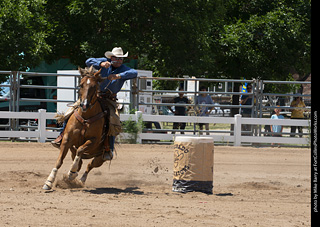 Regulators at the Larimer County Fair 2024