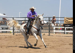 Regulators at the Larimer County Fair 2024