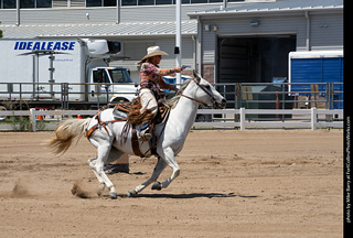 Regulators at the Larimer County Fair 2024