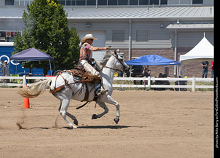 Regulators at the Larimer County Fair 2024