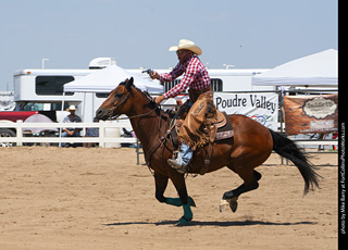 Regulators at the Larimer County Fair 2024