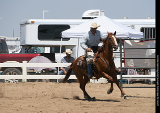Regulators at the Larimer County Fair 2024