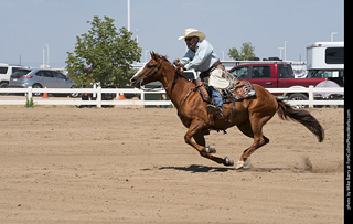 Regulators at the Larimer County Fair 2024