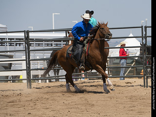 Regulators at the Larimer County Fair 2024