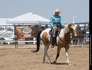Regulators at the Larimer County Fair 2024