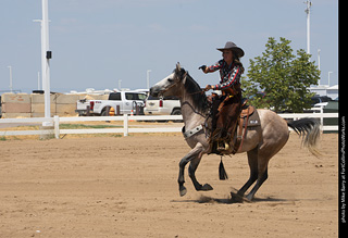 Regulators at the Larimer County Fair 2024