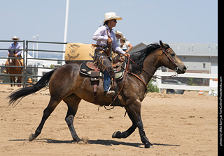 Regulators at the Larimer County Fair 2024