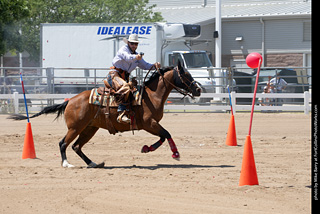 Regulators at the Larimer County Fair 2024