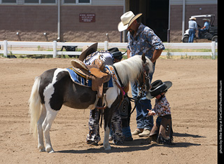 Regulators at the Larimer County Fair 2024