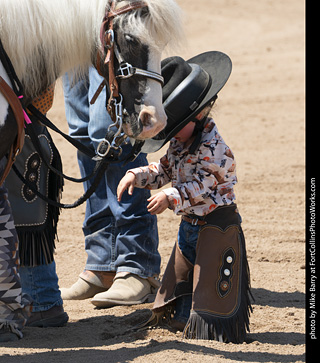 Regulators at the Larimer County Fair 2024
