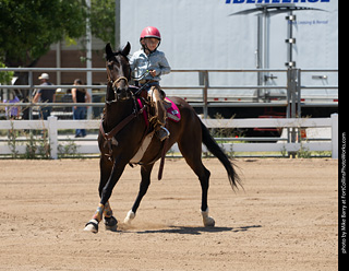 Regulators at the Larimer County Fair 2024