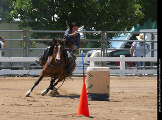 Regulators at the Larimer County Fair 2024