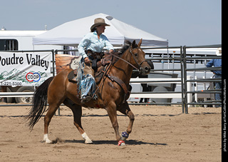 Regulators at the Larimer County Fair 2024