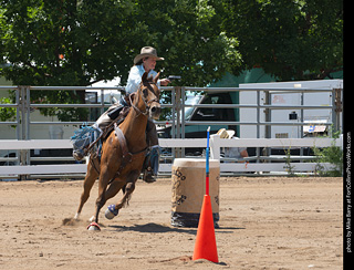 Regulators at the Larimer County Fair 2024