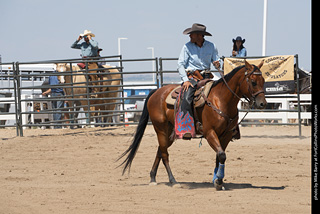 Regulators at the Larimer County Fair 2024