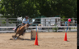 Regulators at the Larimer County Fair 2024