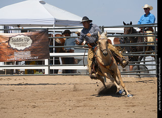 Regulators at the Larimer County Fair 2024