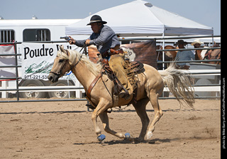 Regulators at the Larimer County Fair 2024