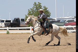 Regulators at the Larimer County Fair 2024