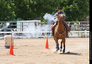Regulators at the Larimer County Fair 2024