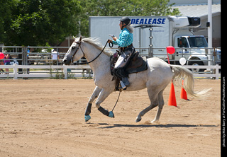 Regulators at the Larimer County Fair 2024