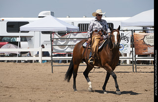 Regulators at the Larimer County Fair 2024